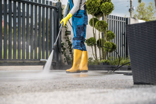 Best House Exterior Washing  in Paw Paw Lake, MI