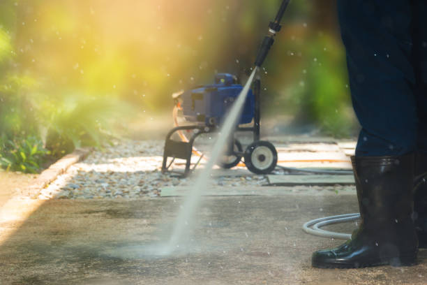 Best Driveway Pressure Washing  in Paw Paw Lake, MI